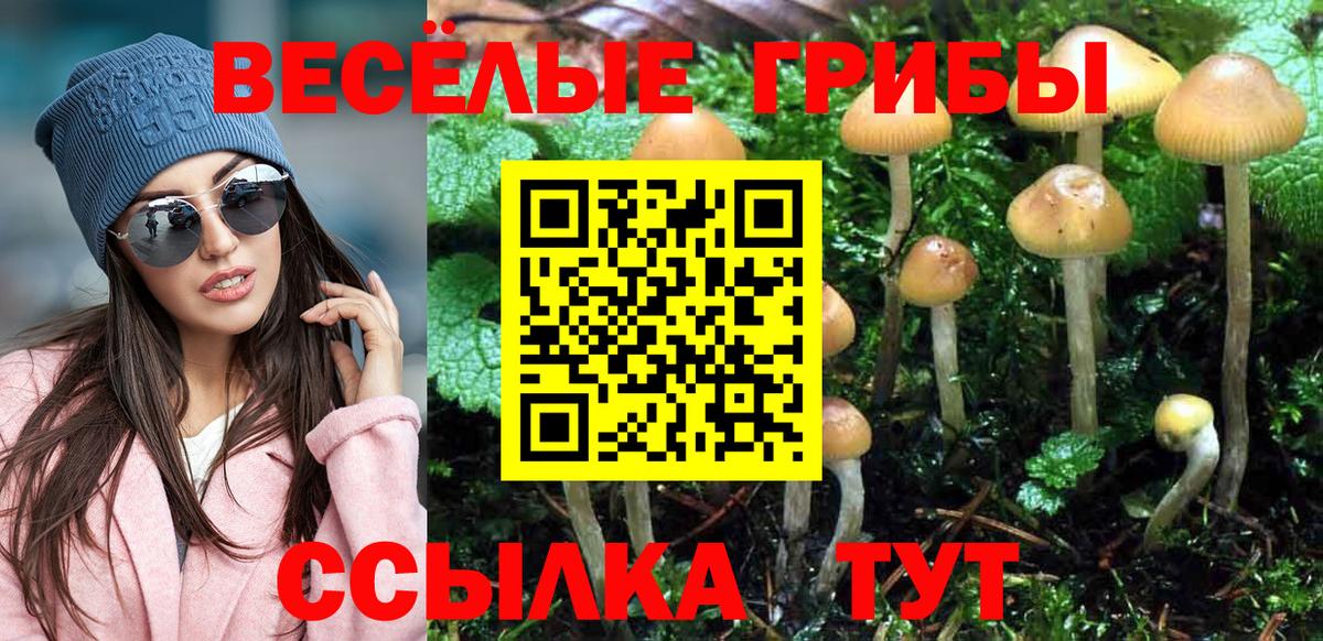 Галлюциногенные грибы GOLDEN TEACHER Светлоград