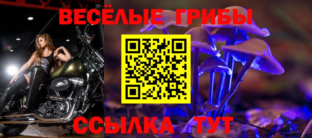Псилоцибиновые грибы Cubensis  Вход с VPN  Светлоград  Псилоцибиновые грибы мухоморы 