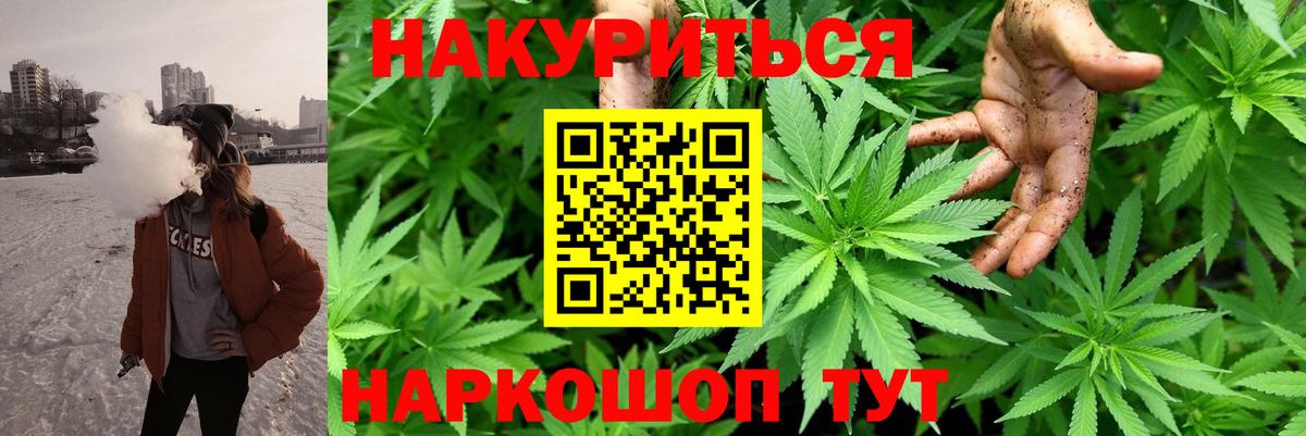 Бошки Шишки ГИДРОПОН  Канабис семена  Светлоград  Вход с VPN  Канабис тримм  Шишки марихуана планчик 
